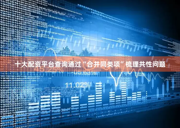 十大配资平台查询通过“合并同类项”梳理共性问题